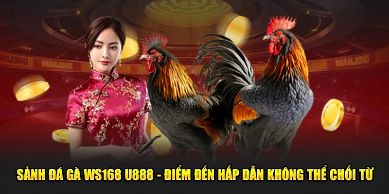 Sảnh đá gà WS168