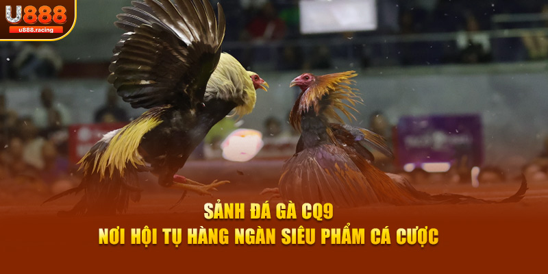 Sảnh đá gà CQ9