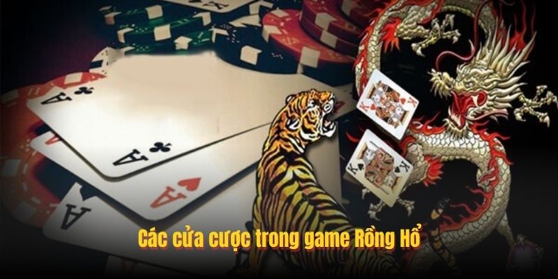 Chiến thuật chơi rồng hổ u888 hiệu quả