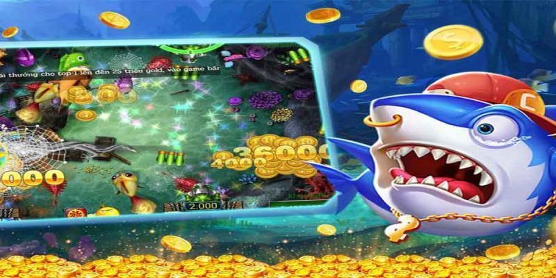 Kinh nghiệm Jackpot Fishing từ cao thủ